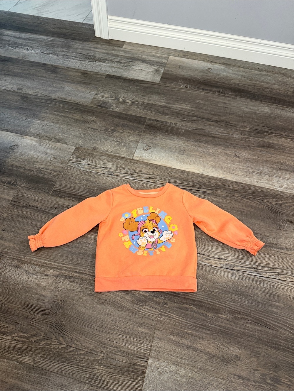 Nickelodeon Kids Orange Skye Graphic Sweatshirt